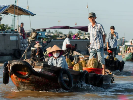 A scenic view of daily life on the river in the Mekong Delta, with boats passing and houses built along the water.