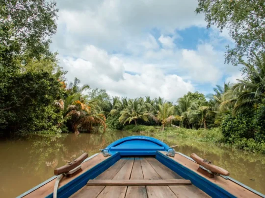 A scenic view of the rural landscape and surrounding houses seen from a boat on a canal in the Mekong Delta.