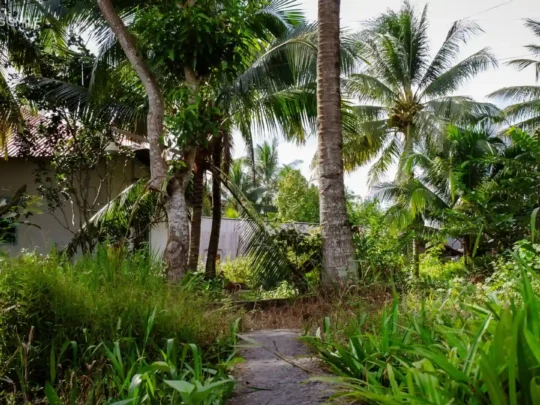 Guests taking a leisurely walk on a peaceful, rustic path in Can Tho Small Canal Tour