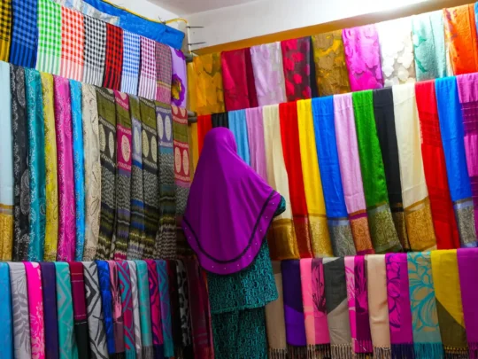 Traditional Cham weaving with natural dyes in Tan Chau Village