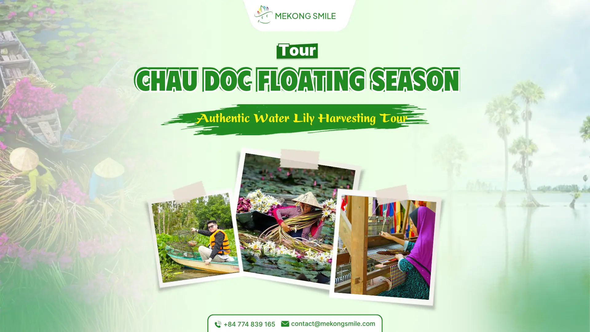 Chau Doc Floating Season – authentic water lily harvesting experience in the Mekong Delta