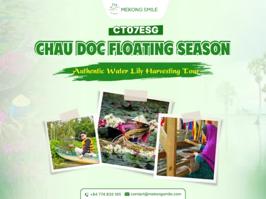 Local farmers harvesting water lilies during the floating season in Chau Doc