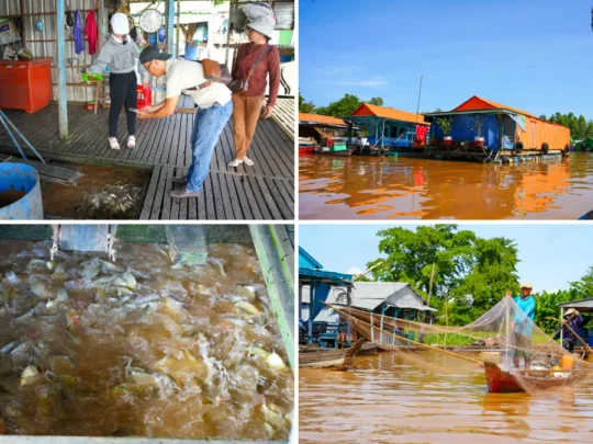 Chau Doc Floating Village – fish farming and life on water in the Mekong Delta