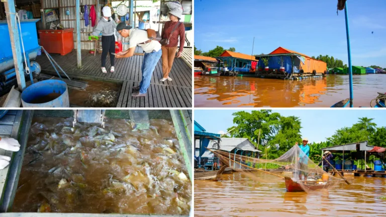 Chau Doc Floating Village – fish farming and life on water in the Mekong Delta