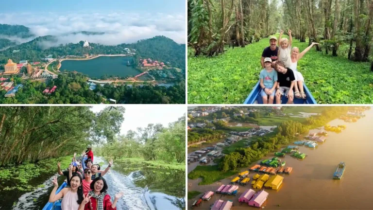 Chau Doc and Tra Su Cajuput Forest in the western Mekong Delta
