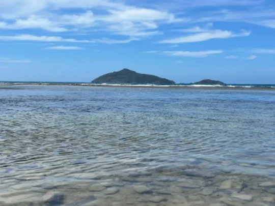 Clear shallow water and coastal scenery at Ong Cau Beach Con Dao Island