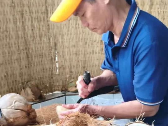 Coconut being grated at a local processing workshop in Ben Tre