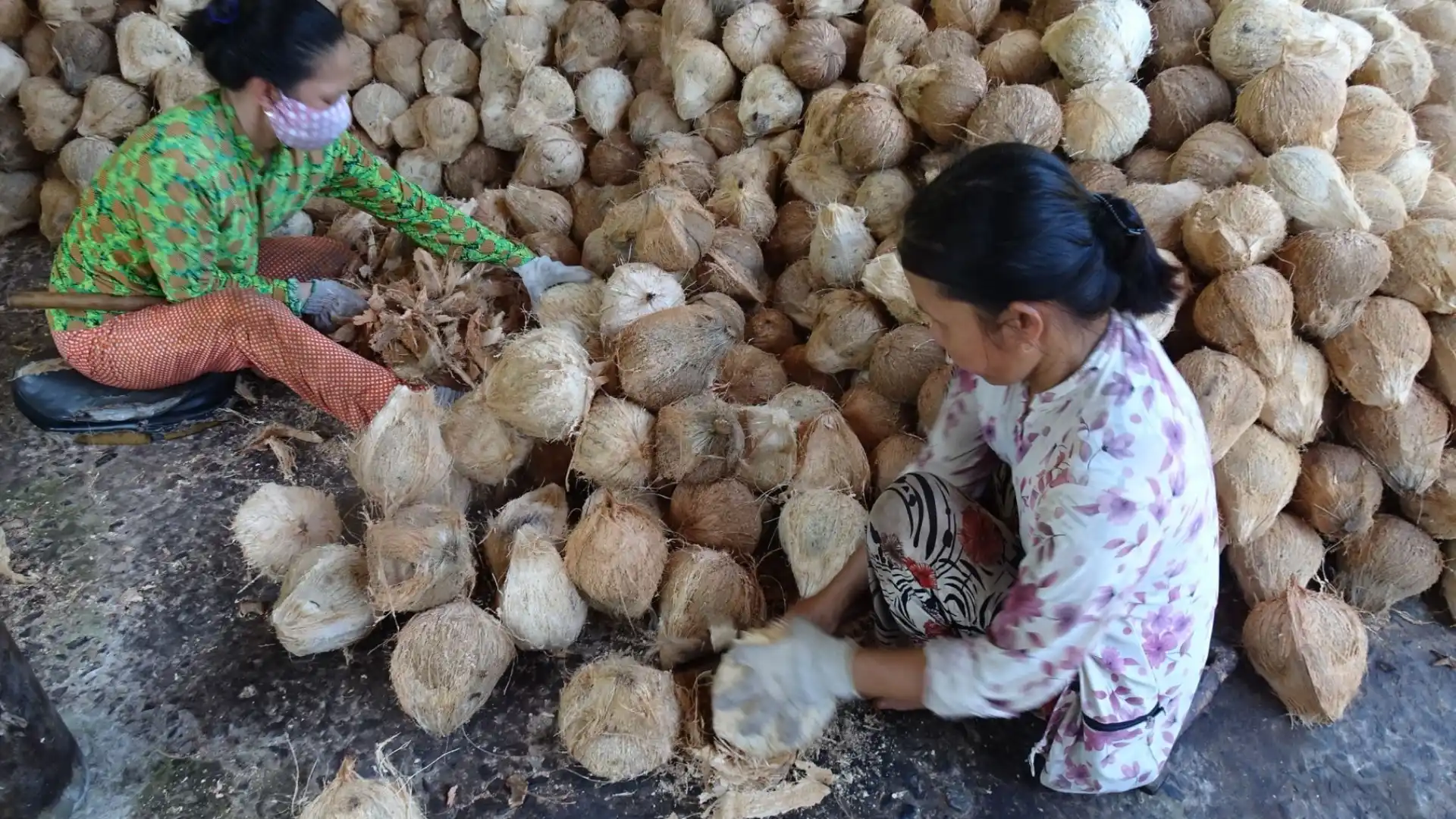 Local workers peeling coconuts at a processing workshop in Ben Tre