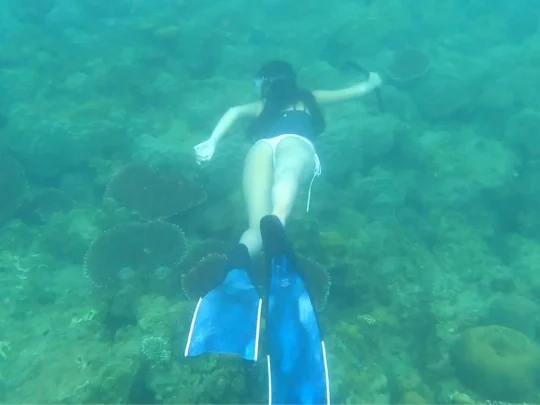 Underwater view of a traveler snorkeling above coral reefs at Bamboo Lagoon in Con Dao