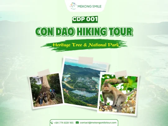 Con Dao Hiking Tour: Heritage Tree & National Park
