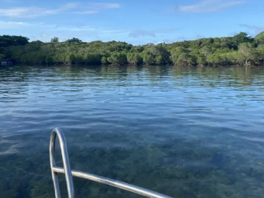 Calm island waters near a Con Dao snorkeling site