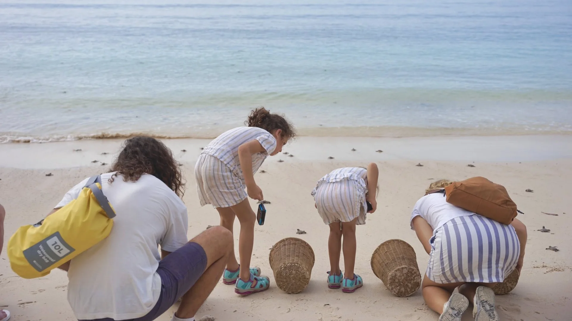 The Vietnam Itinerary Guide for Your Vietnam Trip 407 Con Dao Island national park with tropical forest and coastline