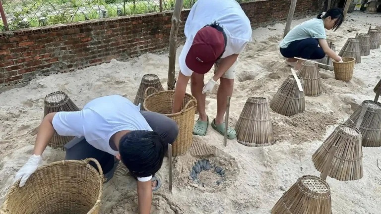 Park staff checking turtle nests at a Con Dao sea turtle hatchery