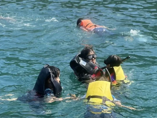 Travelers snorkeling during the Con Dao turtle release snorkeling tour