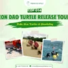 Con Dao turtle release tour cover with baby sea turtles and snorkeling