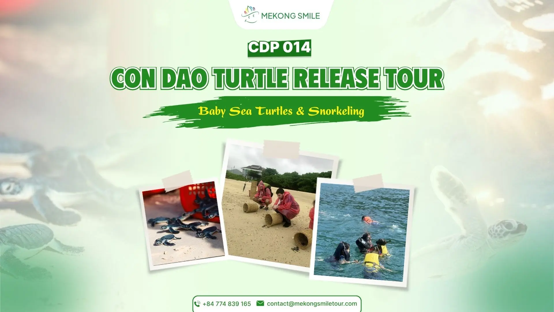 Con Dao turtle release tour cover with baby sea turtles and snorkeling