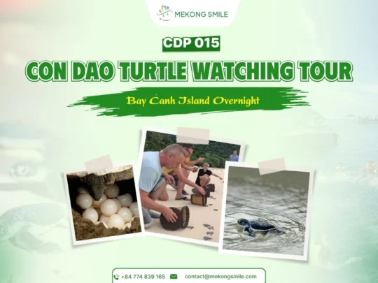 Ranger-guided turtle watching on Bay Canh Island in Con Dao