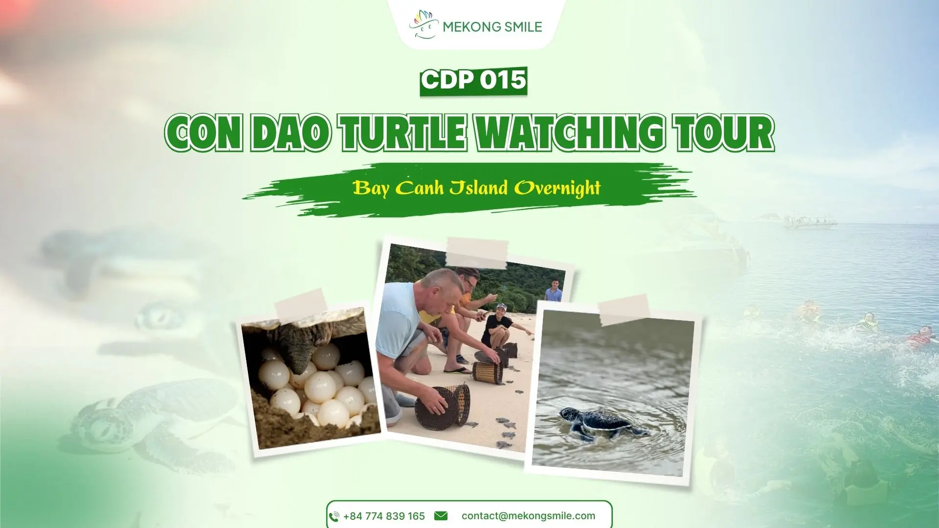 Ranger-guided turtle watching on Bay Canh Island in Con Dao