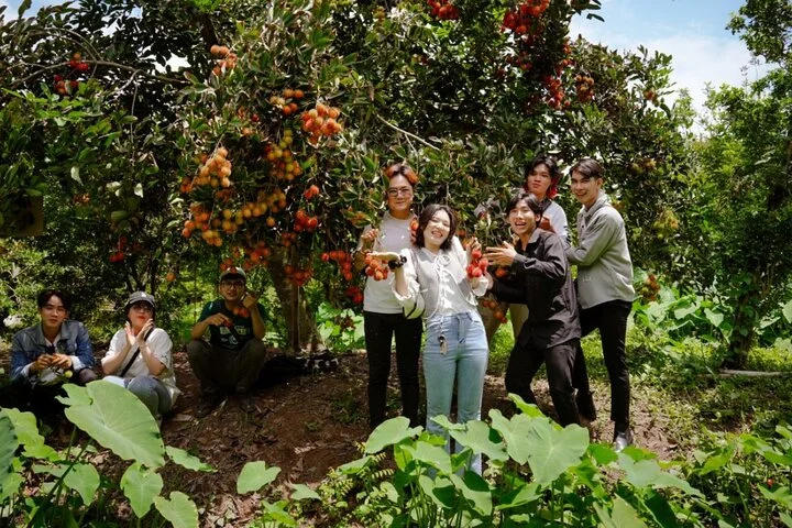 Fresh fruit in the garden-Con Son Islet