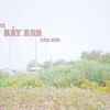 Bay Bon fish raft-Con Son Islet