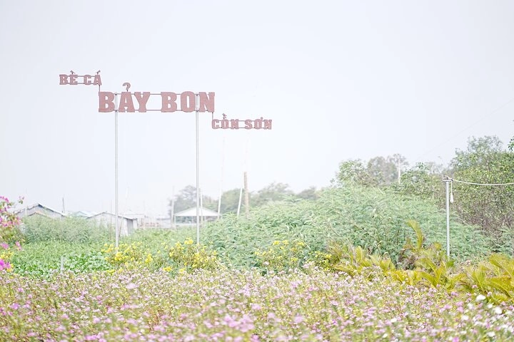 Bay Bon fish raft-Con Son Islet