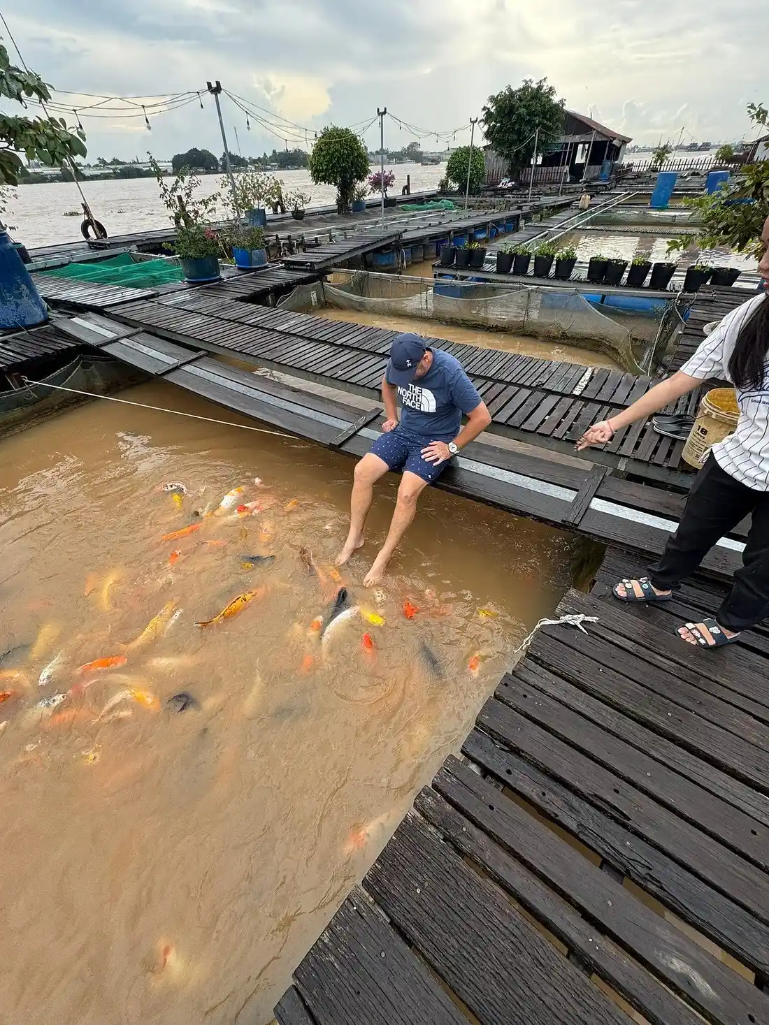 Koi Fish Massage-Con Son Islet