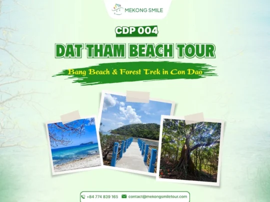Dat Tham Beach Tour: Bang Beach & Forest Trek in Con Dao