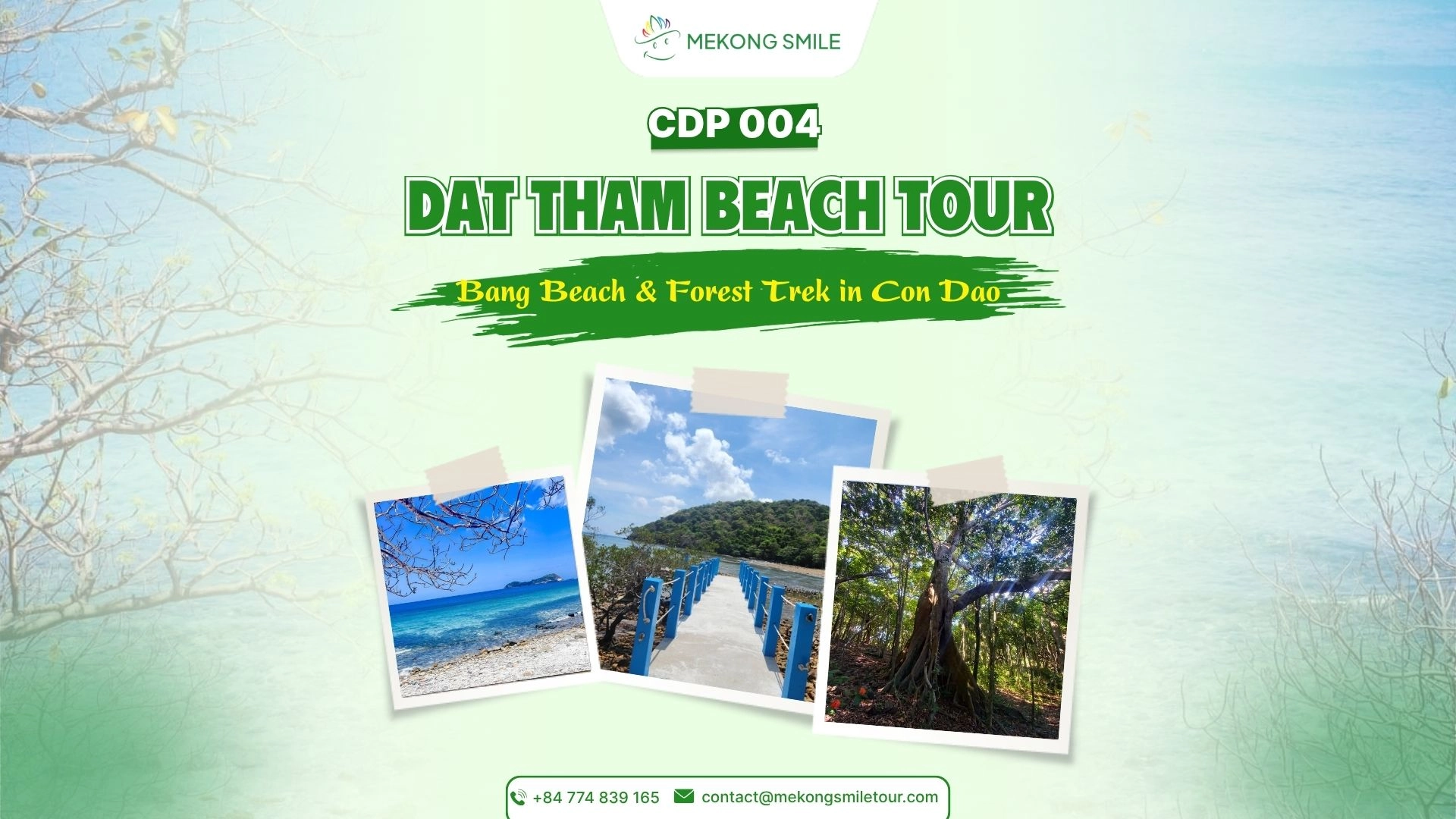 Dat Tham Beach Tour: Bang Beach & Forest Trek in Con Dao
