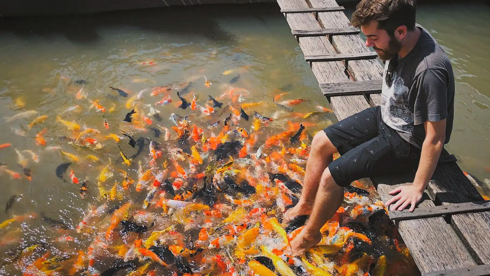 Explore floating fish farms on Son Islet Can Tho and learn about traditional aquaculture on the Mekong River