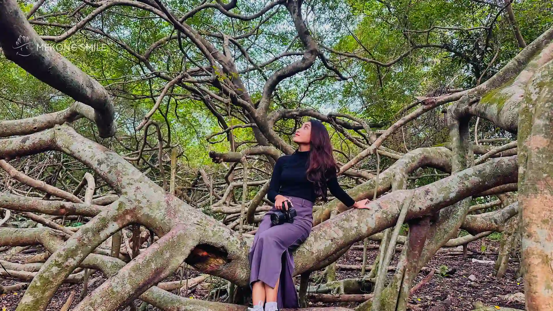 Gian Gua Historical Site – an ancient ficus forest with sacred roots, symbolizing Can Tho’s spiritual and natural heritage