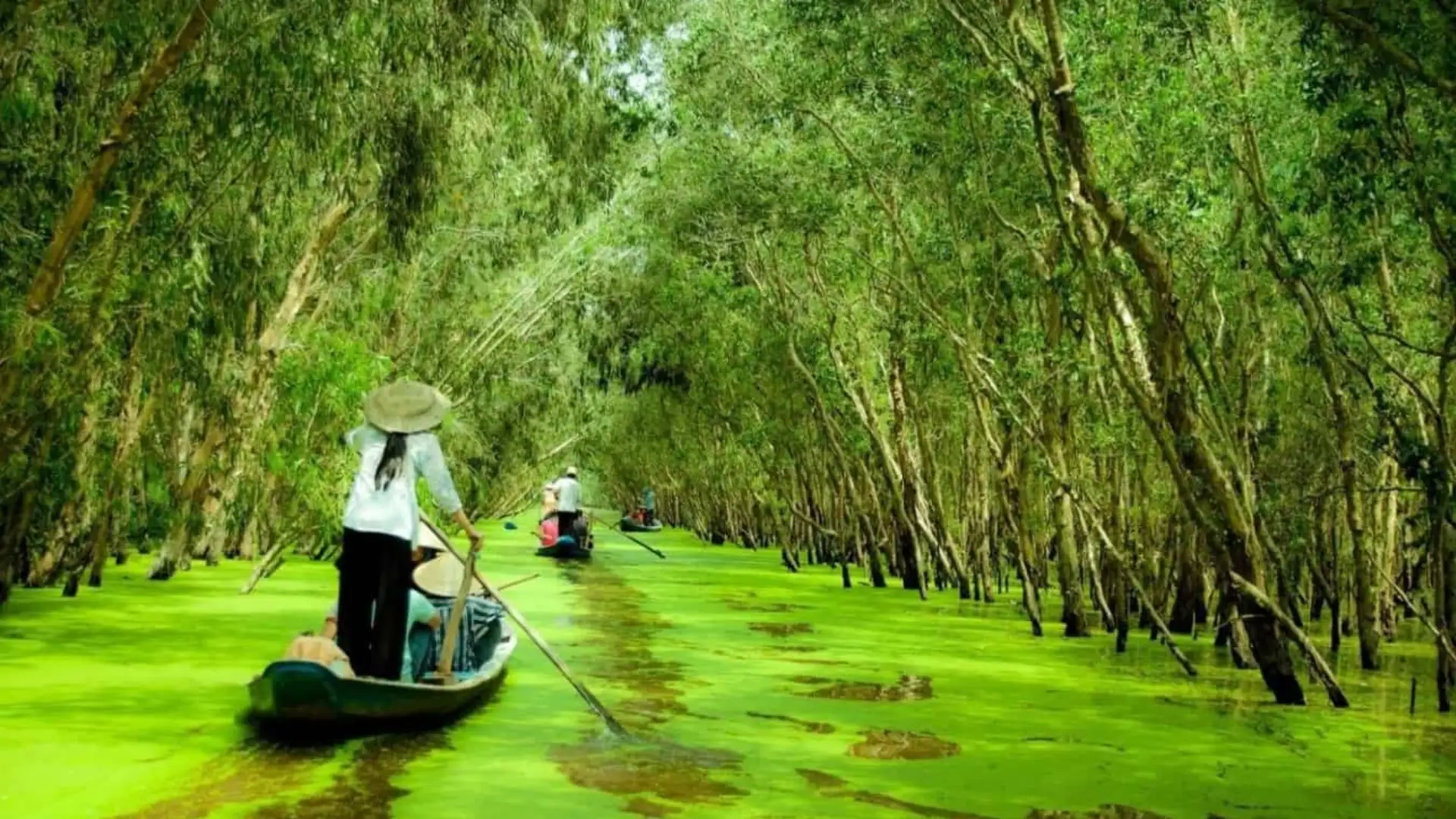Tra Su Cajuput Forest 2026: Tickets, Boats & When to Visit 38 Small boat on a green waterway in Tra Su Cajuput Forest
