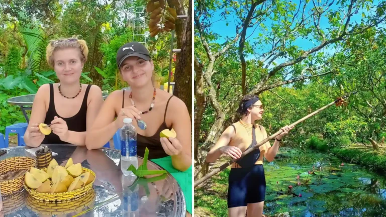 Hands-on fruit picking at Can Tho Fruit Garden – enjoy freshly picked tropical fruits right from the trees