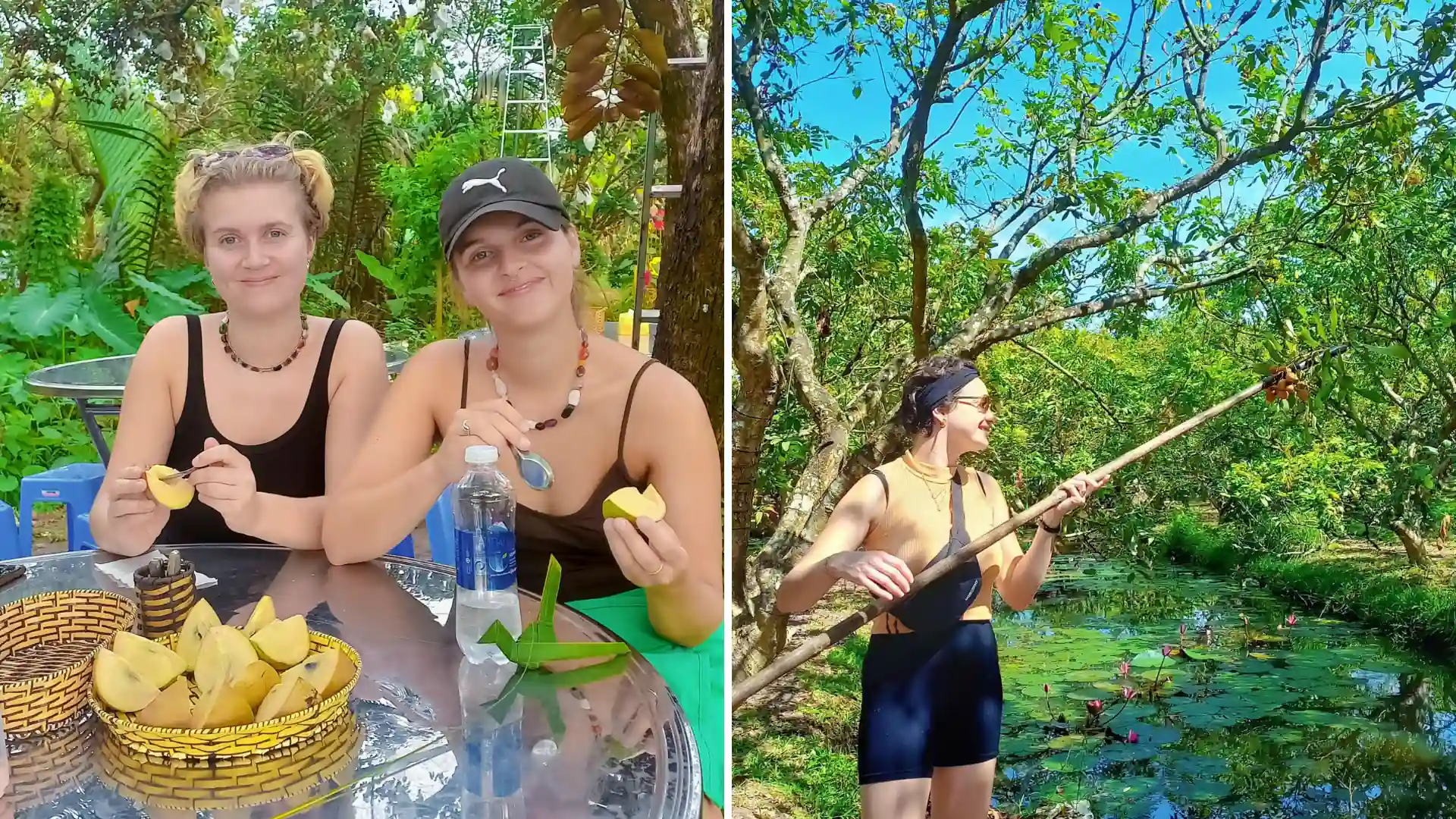 Hands-on fruit picking at Can Tho Fruit Garden – enjoy freshly picked tropical fruits right from the trees