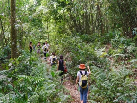 Hikers exploring Con Dao National Park forest