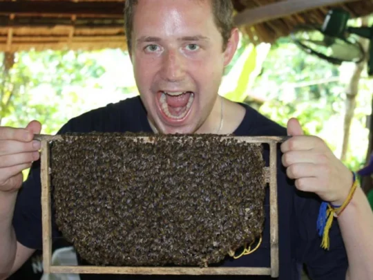 Tourist learning about traditional honey farming in Ben Tre village