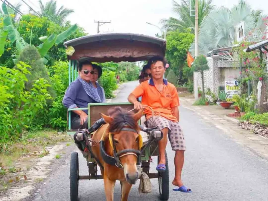 Horse cart ride through peaceful village paths on My Tho Mekong Delta Tour