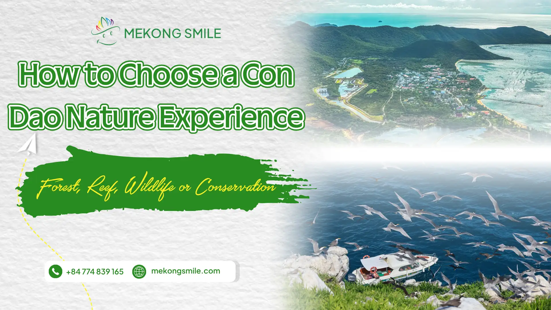 How to Choose a Con Dao Nature Experience: Forest, Reef, Wildlife or Conservation