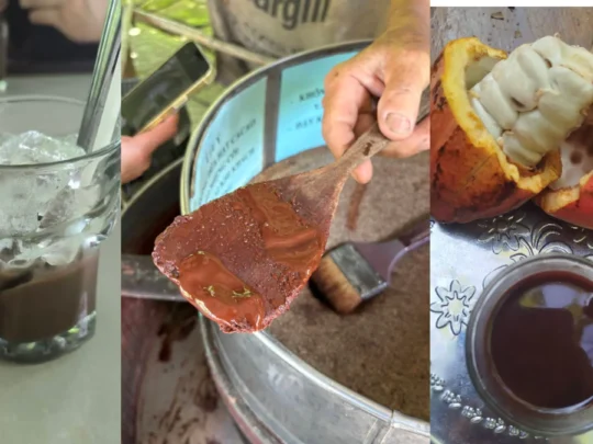 Cacao products and cacao drink at a farm in Can Tho