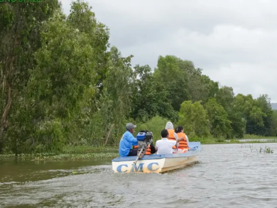 Farmers harvesting water lilies in Chau Doc’s floating season