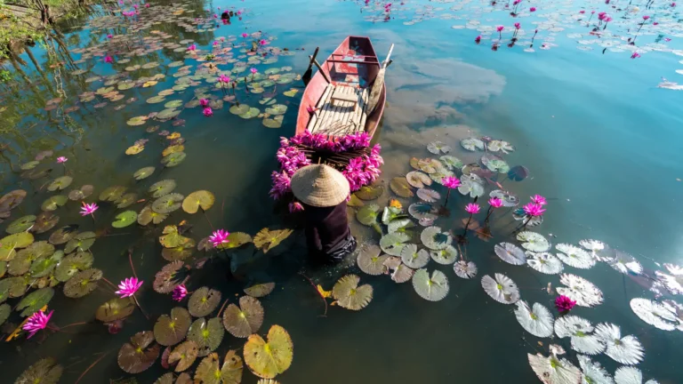 Locals navigating boats on the Mekong River in southern Vietnam