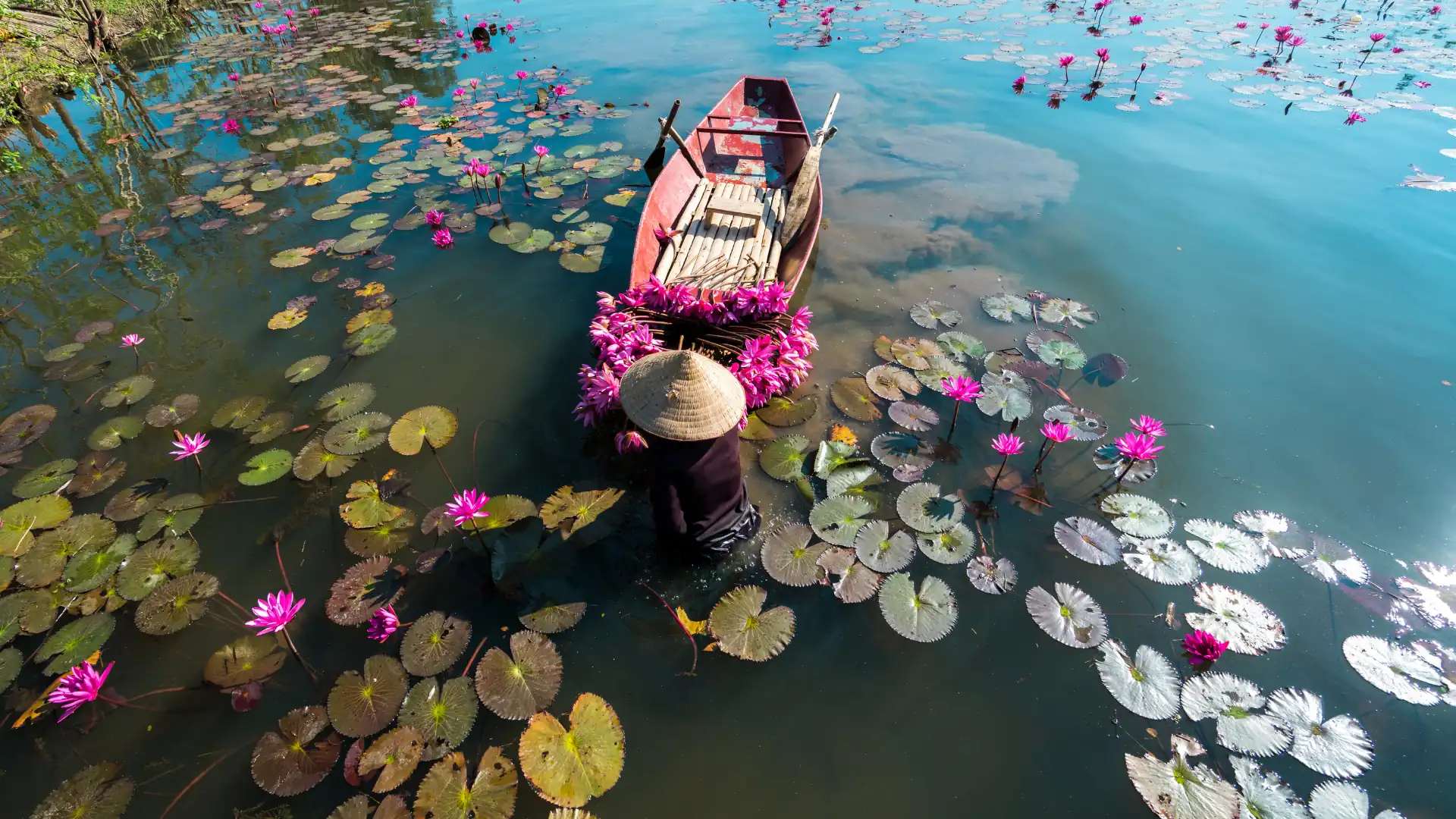 Locals navigating boats on the Mekong River in southern Vietnam