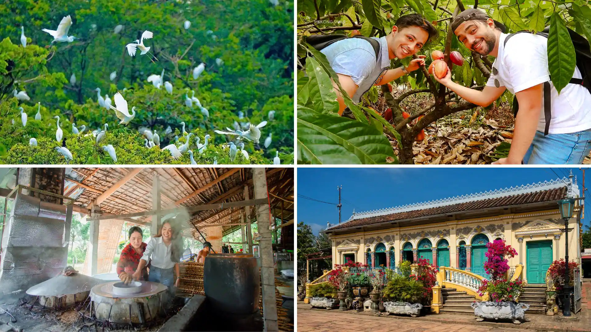 Mekong Delta experiences from Cai Rang Floating Market include canal tours, fruit gardens, and village visits