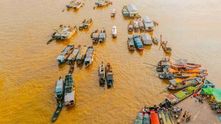 Aerial shot of intertwined river channels and rice fields in the Mekong Delta