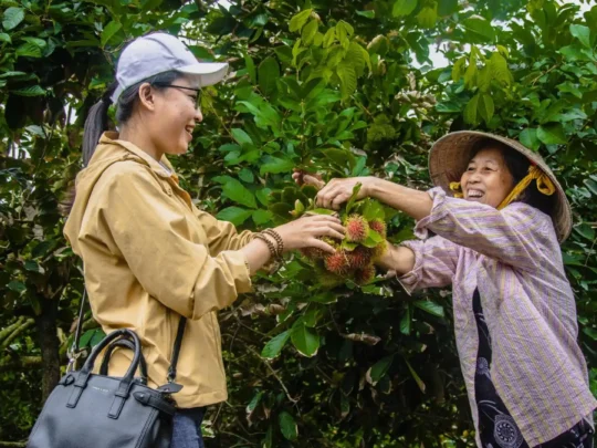 Tour guests standing under tropical fruit trees at a Mekong Delta orchard in An Binh Islet Tour
