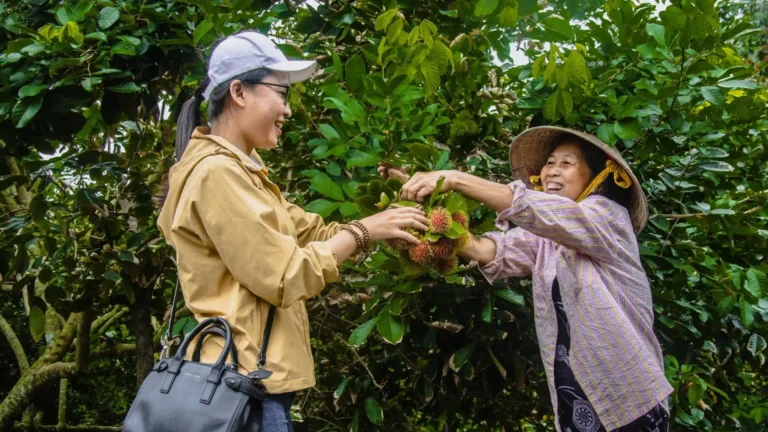 Tour guests standing under tropical fruit trees at a Mekong Delta orchard in An Binh Islet Tour