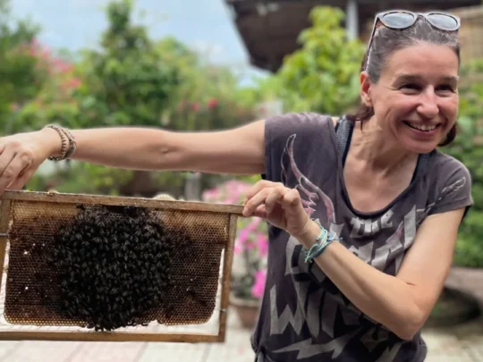 Tour guests Visit a local bee farm, learn about honey extraction in an binh islet tour