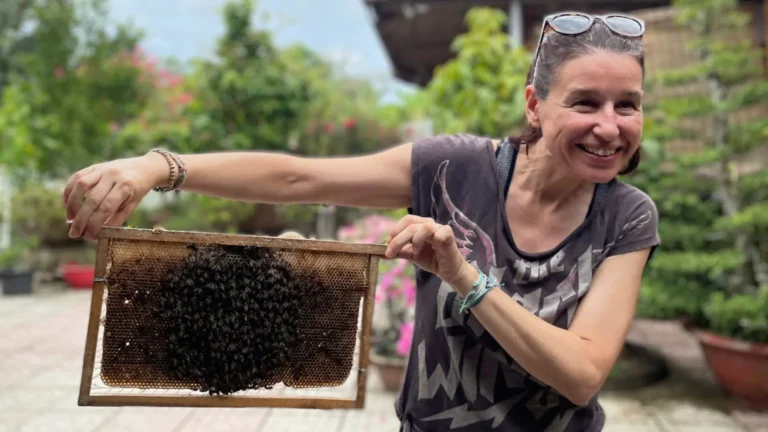 Tour guests Visit a local bee farm, learn about honey extraction in an binh islet tour