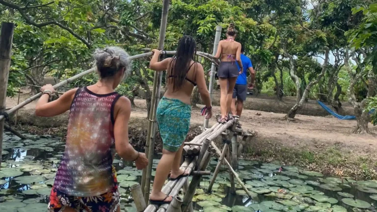 Tourist carefully crossing a narrow wooden monkey bridge over a small canal in an binh islet tour