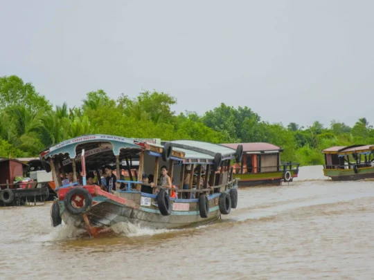 Boat cruise on the Co Chien River in An Binh Islet Tour