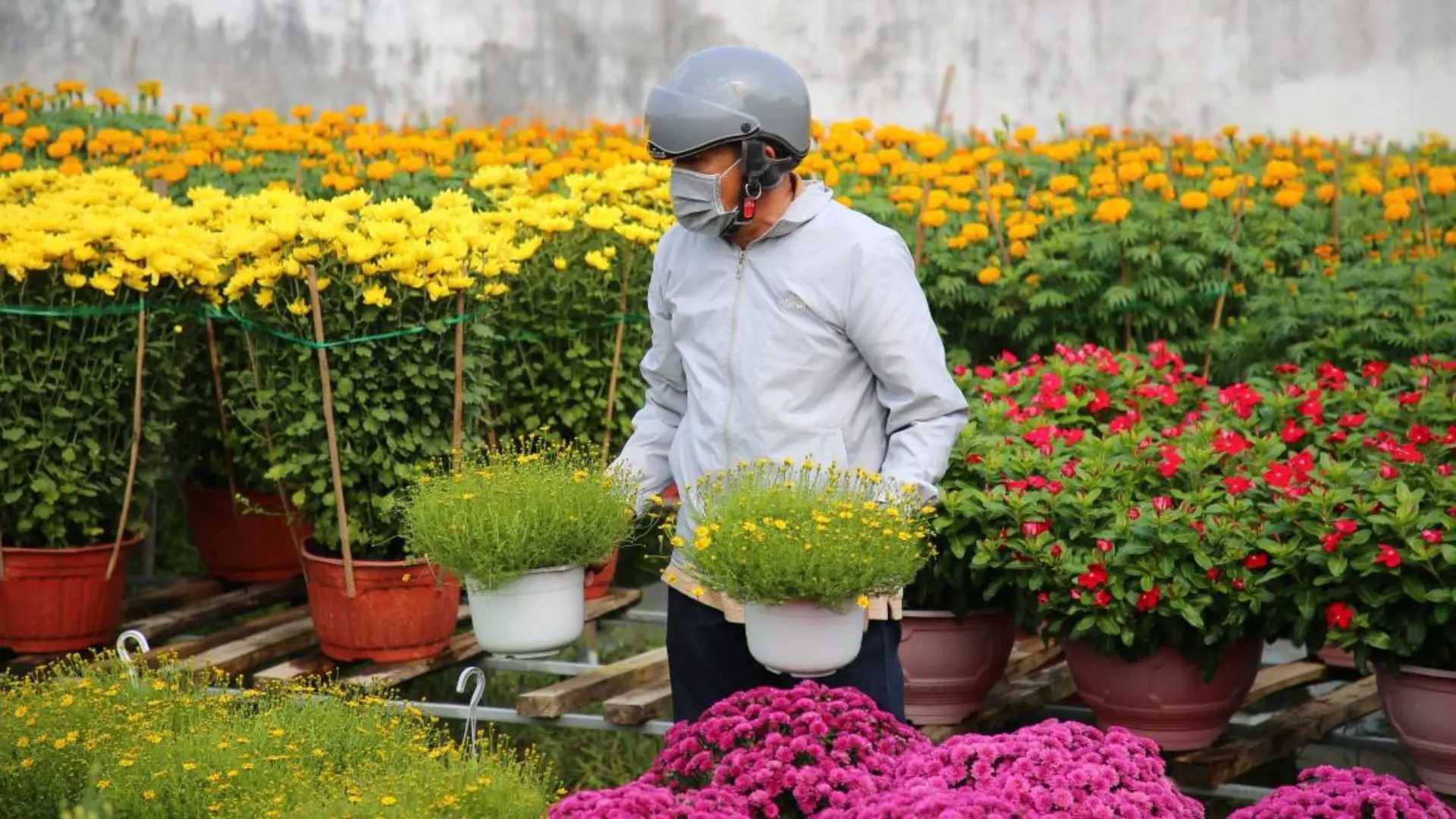 Preparing potted flowers at Ba Bo Flower Village